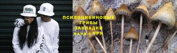 дурь Надым